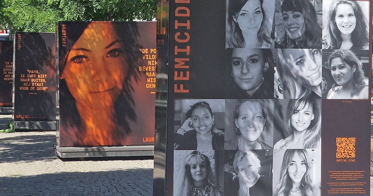 Buitententoonstelling in Geldermalsen toont verhalen achter femicide