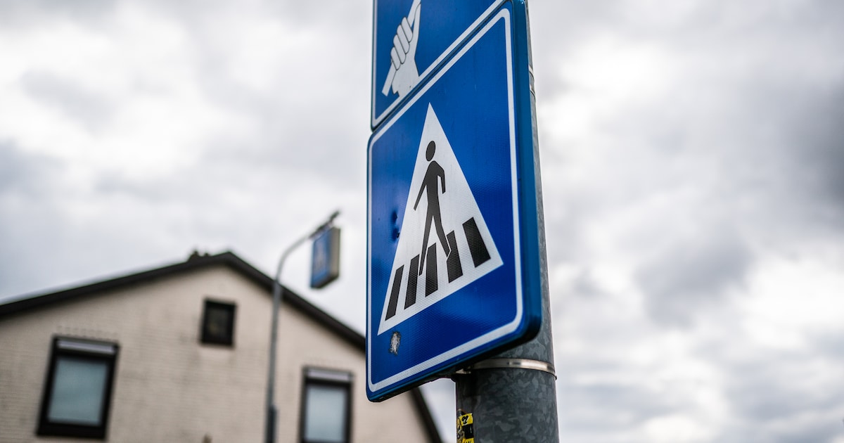 Geldboete voor chauffeur die meisje (12) op zebrapad aanreed: ‘Ik ben geen wegpiraat’