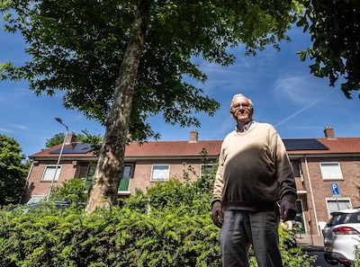 Deze boom is ‘de boosdoener’ van de straat: Jan (80) en zijn buren willen hem weg, maar gemeente wei