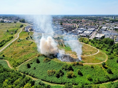 Grindpaden houden brand in Tiels park binnen de perken, brandweer spreekt van geluk