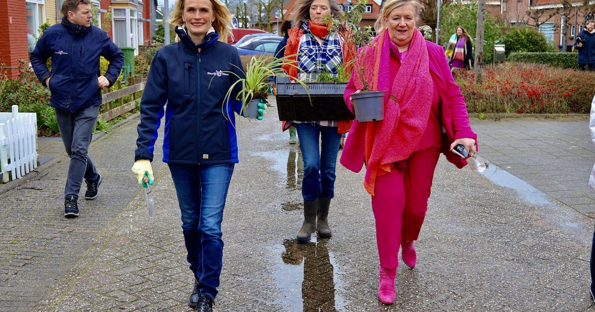Groene straatactie in Geldermalsen en lintjesregen in Wagenings theater