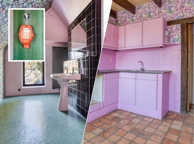 Zeeuwse Villa Kakelbont met enorme lap grond te koop voor nog geen 240.000 euro