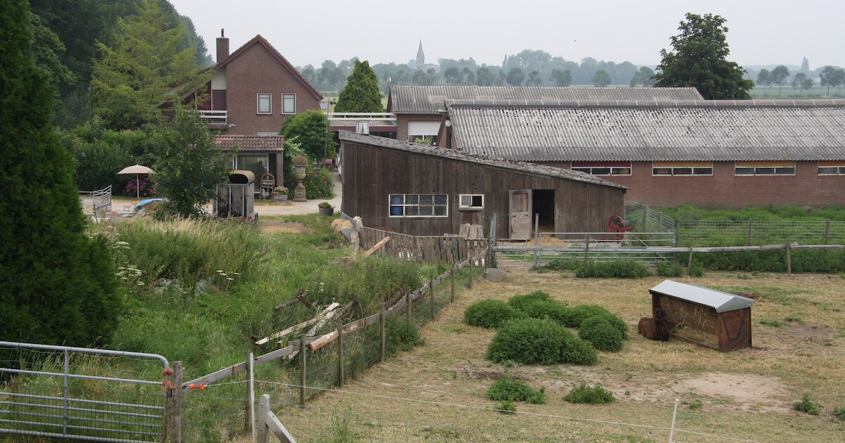 Zwaard van Damocles valt voor Bert, zijn huis wordt gedwongen geveild