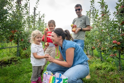 Gelderse fruittelers openen boomgaarden voor Hardfruitdagen