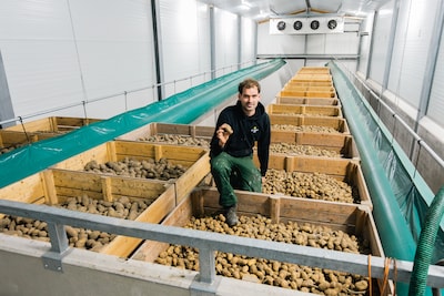 De tijd dringt: boer Dirk probeert te voorkomen dat hij 190.000 kilo aardappelen moet weggooien
