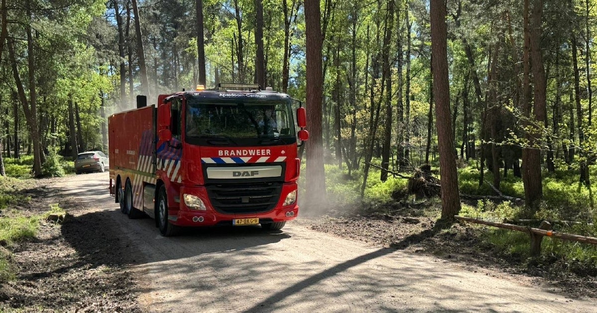 Flinke brand in bosgebied bij Wenum-Wiesel