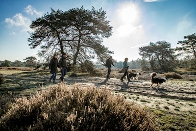 Nationaal Park Hoge Veluwe trok in 2025 opnieuw honderdduizenden mensen