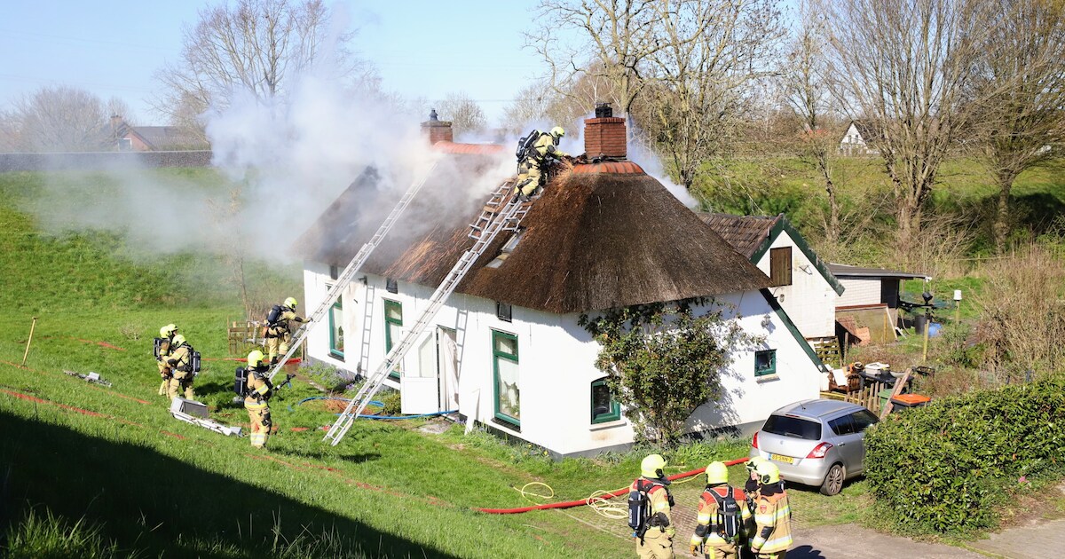 Vier honden gered uit brandende woonboerderij in Dodewaard