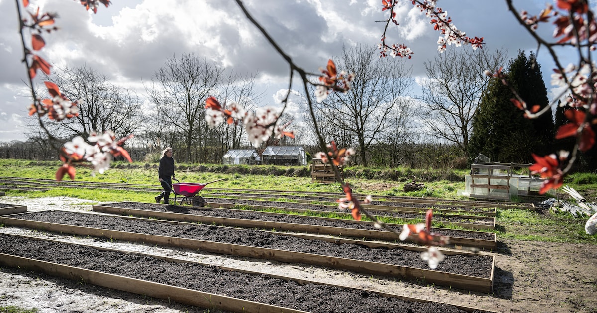 Pluktuin Meraki opent deuren voor publiek in Beek