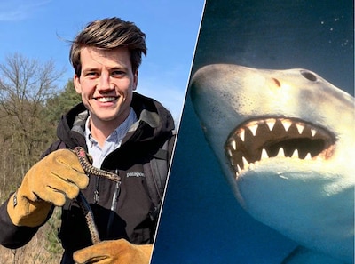 Shark Week is terug en deze tv-bioloog heeft één duidelijke boodschap: ‘Haaien zijn niet de monsters uit Jaws’
