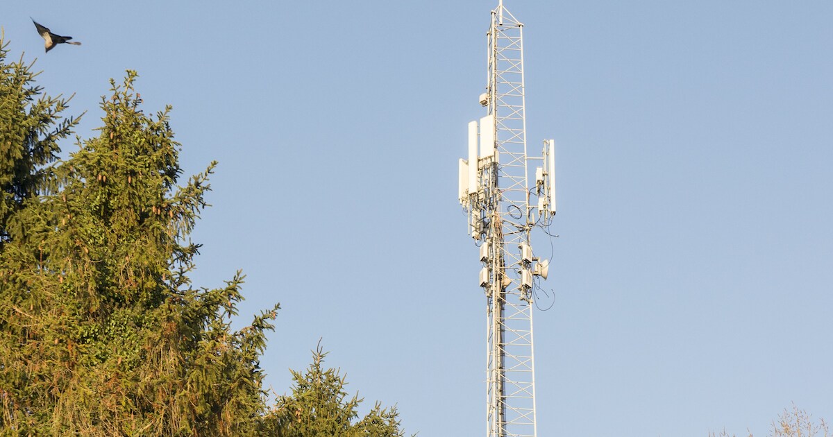 Bewoners Goorse buurt maken massaal bezwaar tegen komst van bijna 40 ...