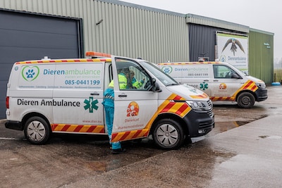 Culemborg wil hitteplan na code rood versterken, maar plan (ook voor dieren) komt pas volgend jaar