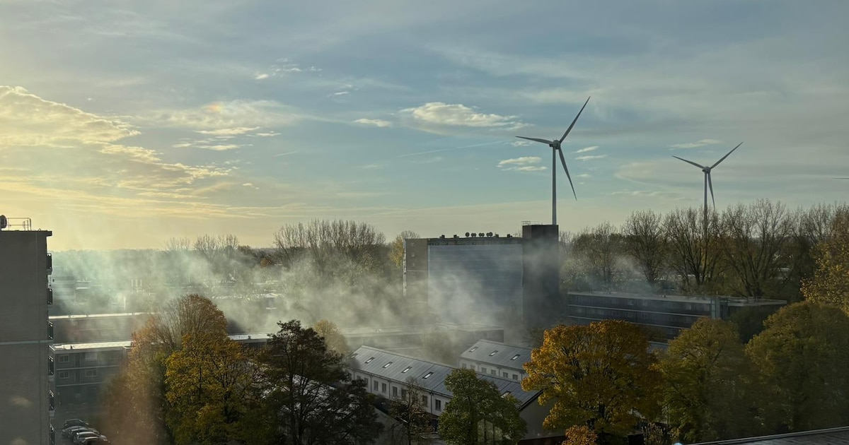 Buurt schrikt van zware explosie met vuurwerk: ‘Het leek hier in de tuin te zijn afgegaan. Je schrik
