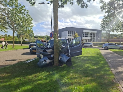Achtervolging eindigt tegen boom in Zevenaar: bestuurder (28) reed onder invloed