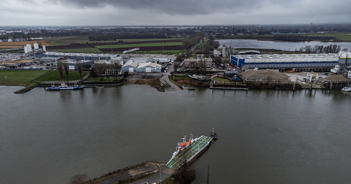 Verkeersinfarct op A12 zorgt hier juist voor een glimlach: ‘Het was ineens megadruk’