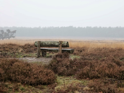 Basistraining levensvragen start in Arnhem