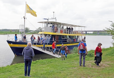 Blauwe Bever vaart naar de Jufferswaard