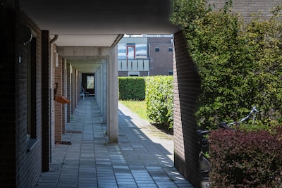 Huurders leven in wanhoop door poep, intimidatie en lawaai: 'We zitten kokhalzend op het balkon’