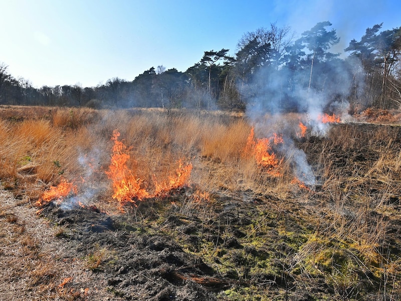 Afbeelding bij Middelbrand op Nachtegaallaan in Melderslo