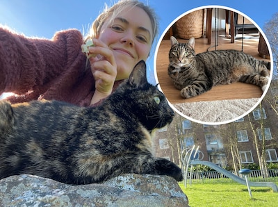 Katten lopen mee als baasjes gaan stemmen en raken hopeloos verdwaald: 'We hebben de hele dag gezocht’