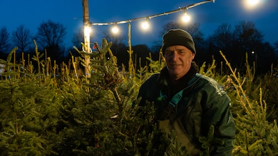 Boomkweker Jaap mist zelf ook de kerstgeur van vroeger: ‘Als kind rook je hem al op de trap’