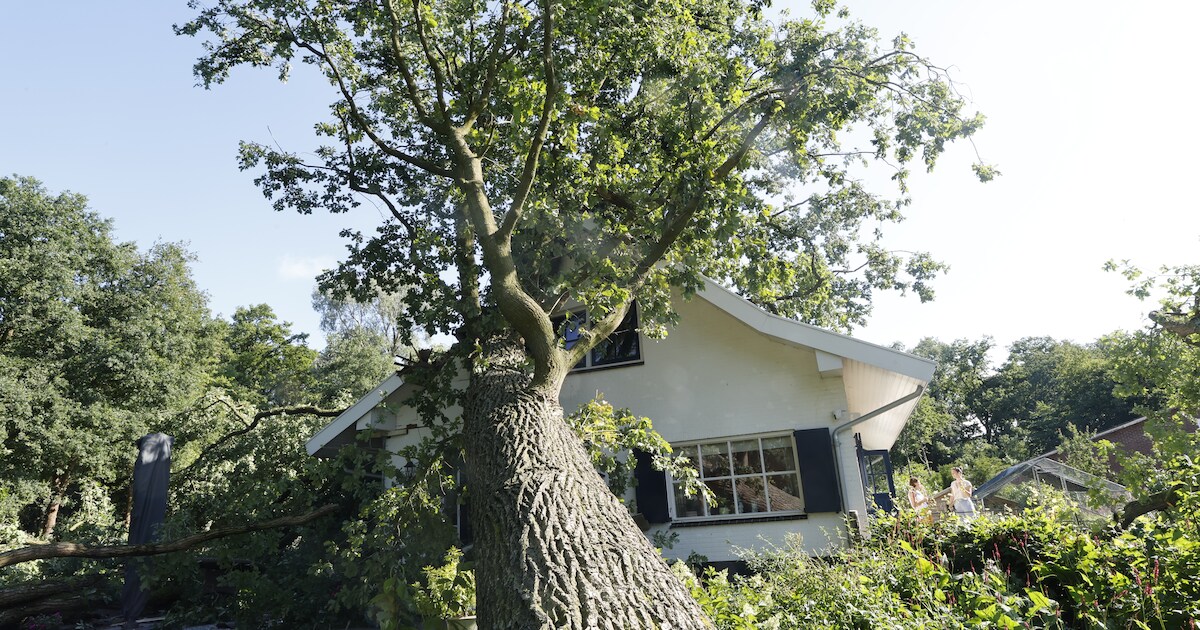 Noodweer Winterswijk | Meekes overdonderd door reacties ingestorte fabriekshal • Totale omvang storm