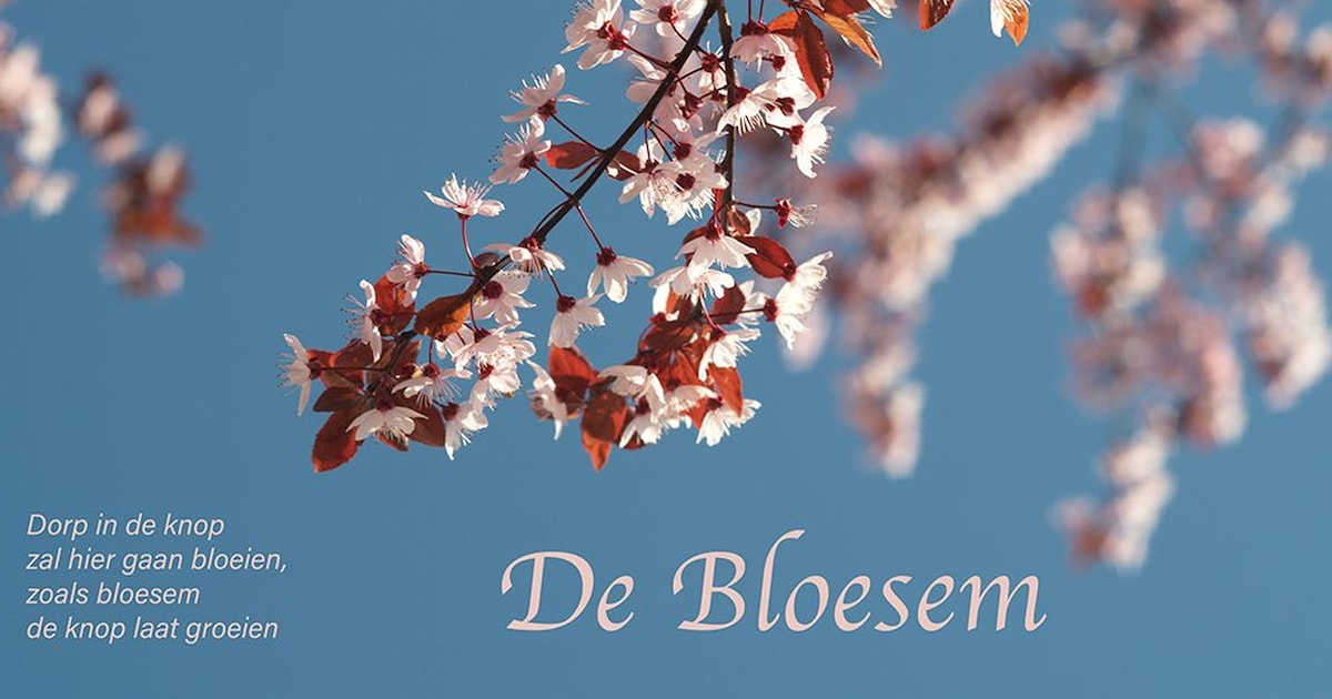 Nieuwe Zettense accommodatie gaat De Bloesem heten: ‘het moet het dorp laten bloeien’