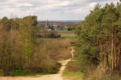 Maandagavondwandeling in Zonderbos bij Beek