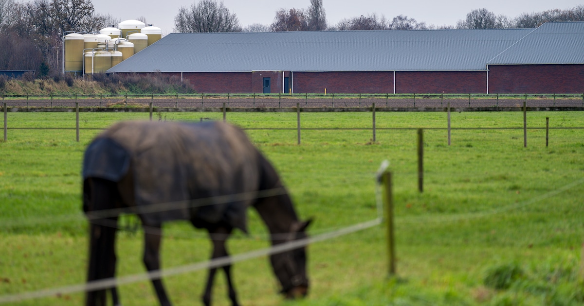 Woningbouw en meer varkens in Laar en Nieuw Laar in Berlicum? Het zit er voorlopig niet in