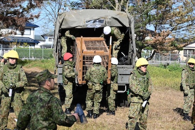 Japan roept hulp van leger in na reeks dodelijke berenaanvallen: 12 doden in half jaar