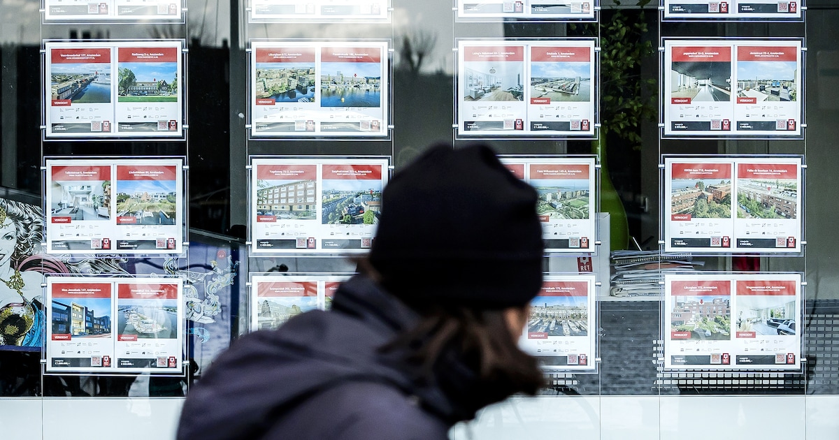 Een tuin waarin de bewoner grinttegels heeft gezaaid