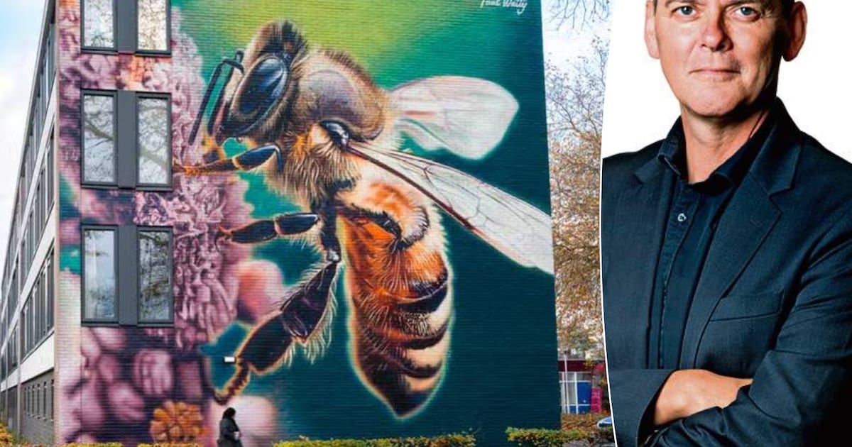 Tilburg zingt zondagavond, maar ook gewoon donderdagmiddag