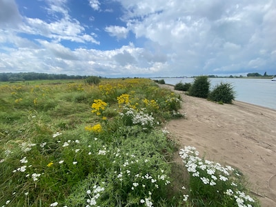 Struinwandeling door de Dreumelse Waard