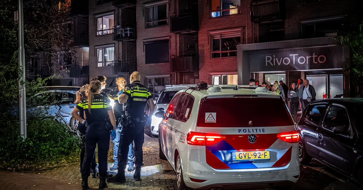 Vrouw (48) aangehouden na mogelijke steekpartij bij appartementencomplex in Alverna