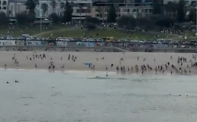 Schietpartij op populair strand Bondi Beach in Sydney, twee verdachten opgepakt