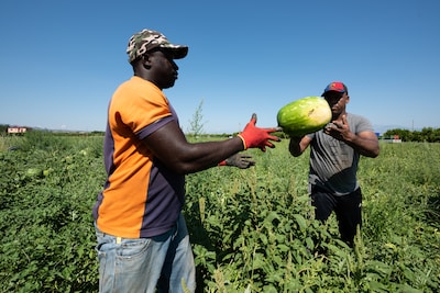 Hard anti-immigratiebeleid, maar Italië geeft ook 500 duizend migranten een tijdelijke werkvergunning