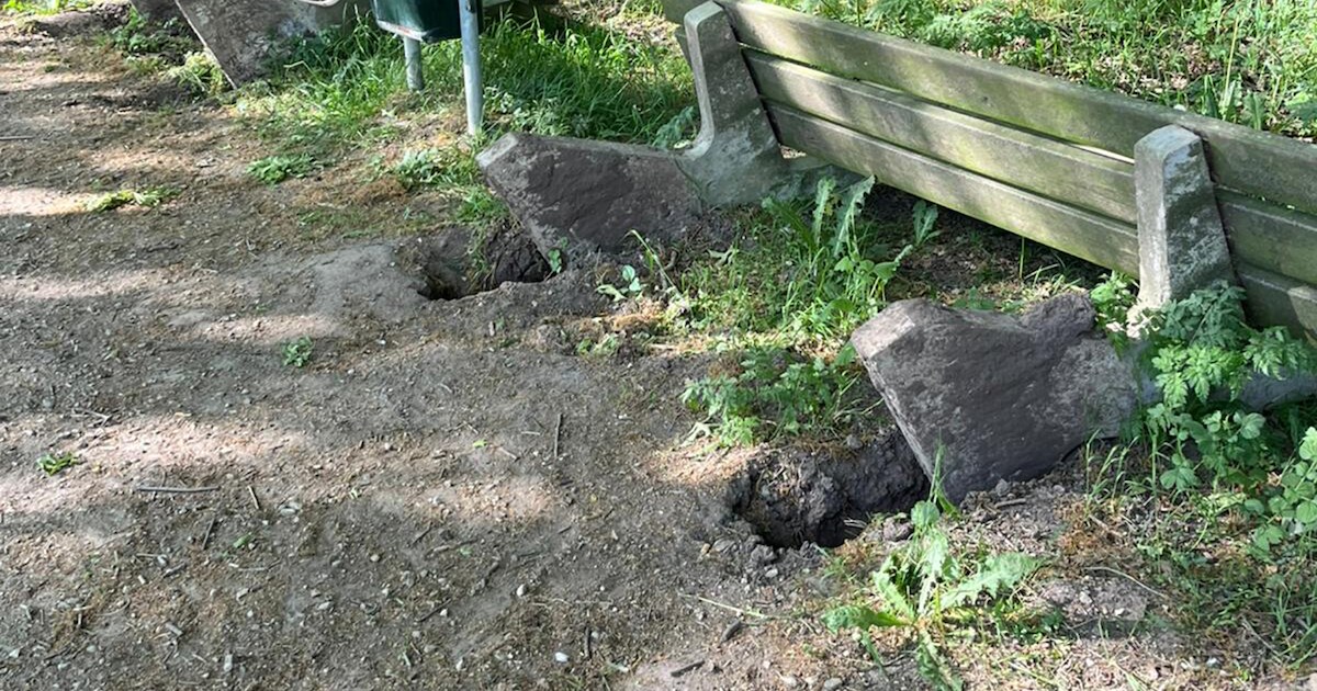 Camera’s moeten vernielingen en geweld bij wijkpark Maarssenbroek stoppen: ‘Jongens van 9 moesten el