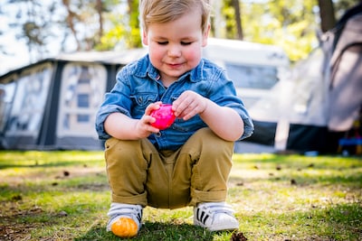 Lente wint steeds meer terrein: droog en zonnig Pasen voor de boeg, volgende week 20 graden (en dat is geen grapje)