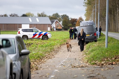 Dode gevonden in weiland in Abbenes, mogelijk uit vliegtuig gevallen