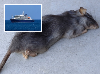 Wat zijn symptomen van het hantavirus, dat mogelijk drie mensen het leven kostte op cruiseschip?