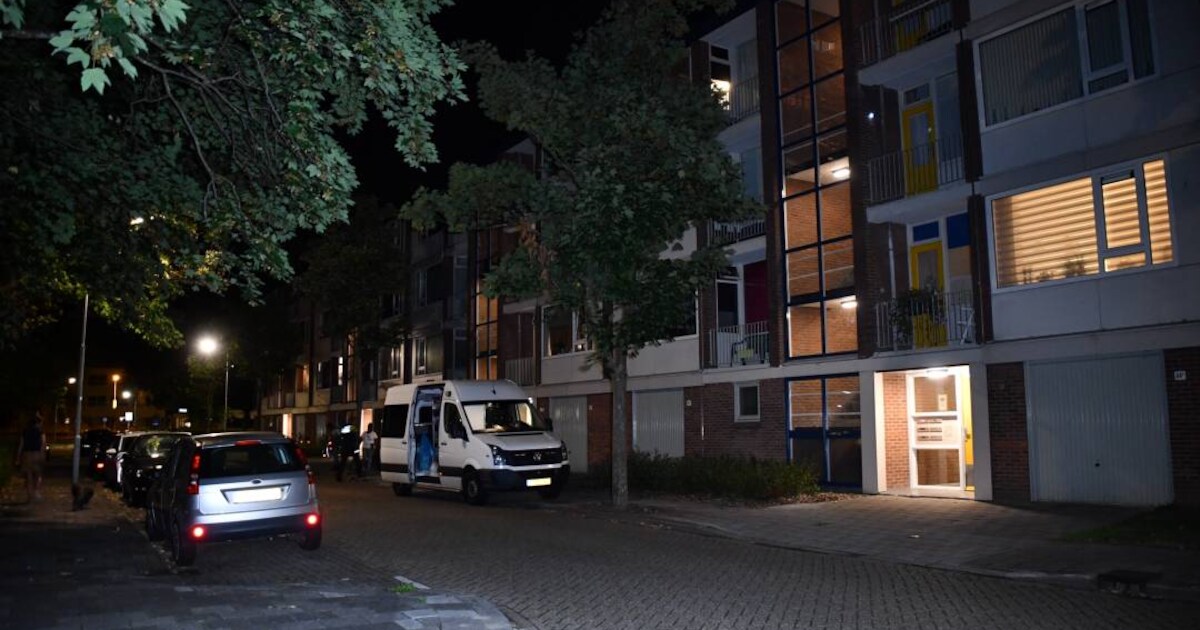Jongetje (4) gewond na ongelukkige val van balkon in Goes