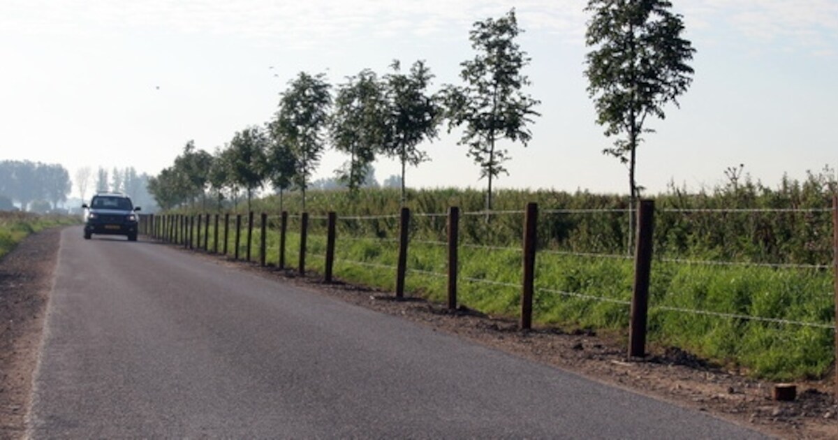 Testrit voor omleiden bus door polder