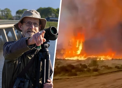 Grote natuurbrand vaak desastreus voor plant en dier: ‘Wat niet vliegt of hard loopt, redt het niet’