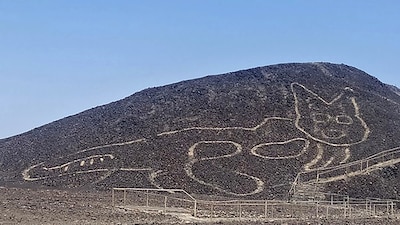 Vliegtuig met Europese toeristen crasht op weg naar wereldberoemde Nazcalijnen in Peru: dertien doden