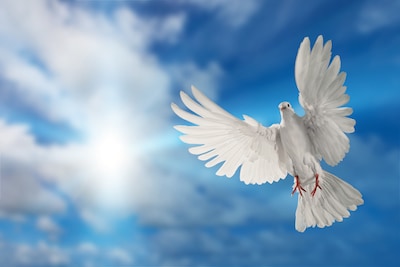 Vredeswake in Velp brengt mensen samen