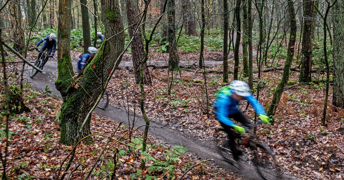 Is mountainbiken schadelijk voor de natuur? ‘Kijk naar de feiten, niet ...