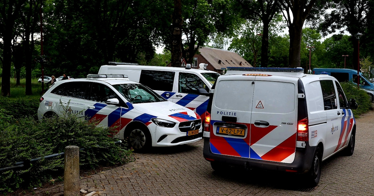 Ruzie, een bijtende hond en vernielingen: wat was er zaterdagavond aan de hand in de Nieuwegeinse wi
