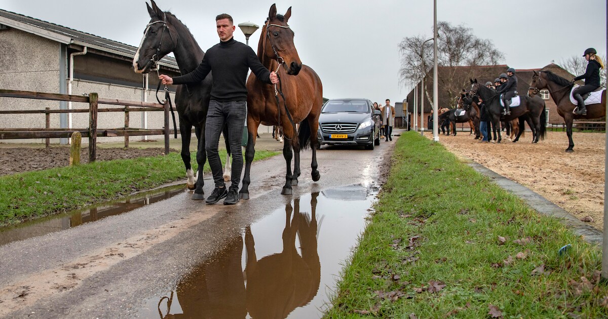 Paarden vormen erehaag voor overleden fokker Gerrit (61) uit Lettele: ‘Hij had dit prachtig gevonden