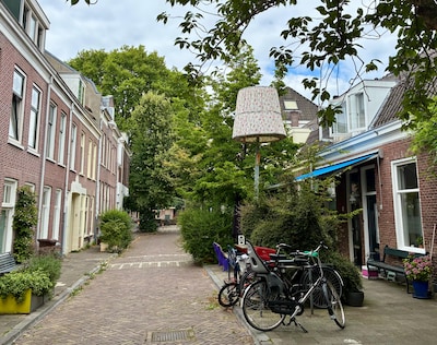 Goed gemutst! De lantaarnpalen in de Utrechtse Tulpstraat hebben lampenkappen