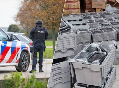 Kwart miljard aan coke in schuurtje: hoe West-Brabant uitgroeide tot cocaïnepoort van Europa